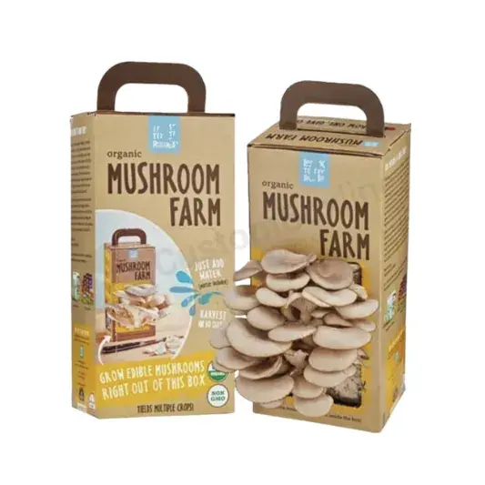 Custom Mushroom Growing Kit Packaging Boxes